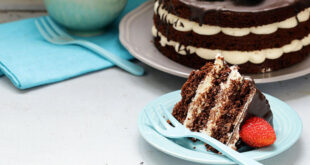 Layered chocolate fruit cake recipe