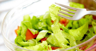Curly lettuce salad recipe