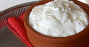Homemade yogurt recipe