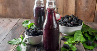 Black Mulberry Juice Recipe