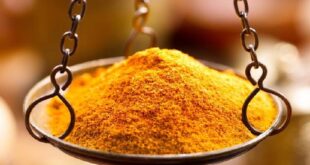 Curry Sauce Recipe