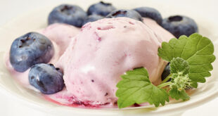 Blueberry banana ice cream recipe
