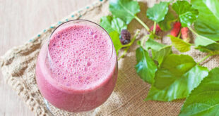 Probiotic berry smoothie recipe